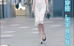 一本道高清幕免费视频